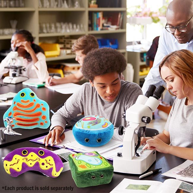 Miniatura: Aparato de Golgi GIANTmicrobes