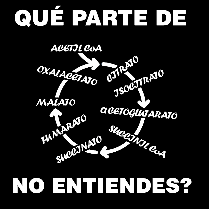 Miniatura: Polera que parte de no entiendes 