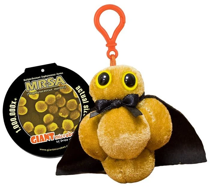 Llavero  MRSA de GIANTmicrobes