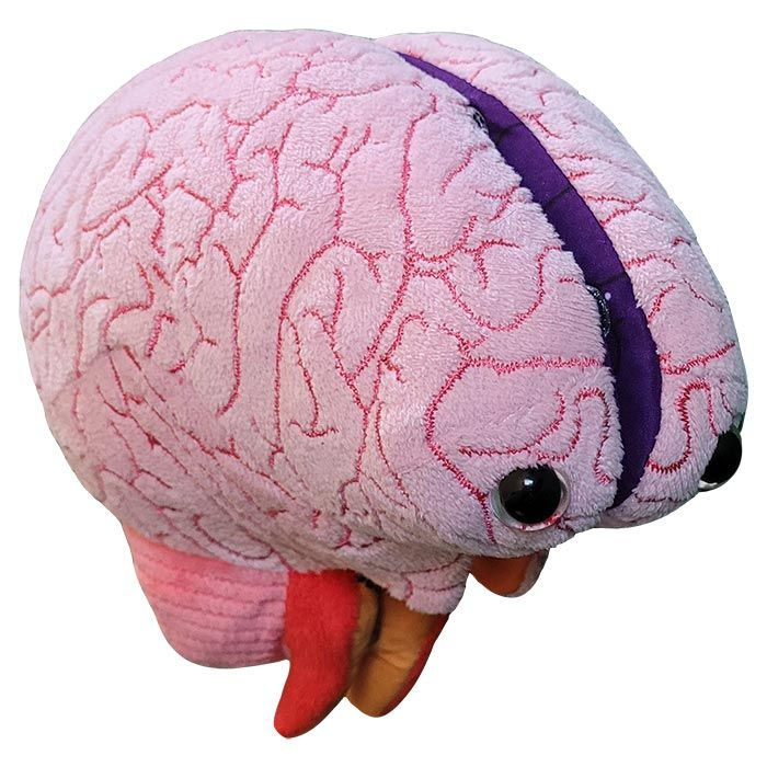 Miniatura: Peluche Modelo de Cerebro GIANTmicrobes