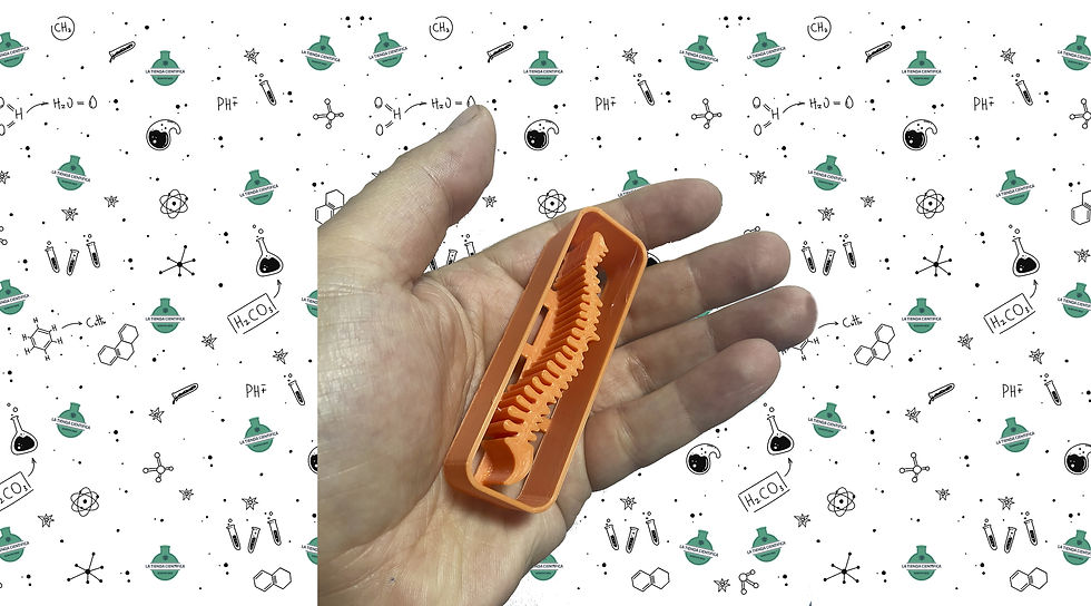 Miniatura: Cortador de galletas de Columna Vertebral