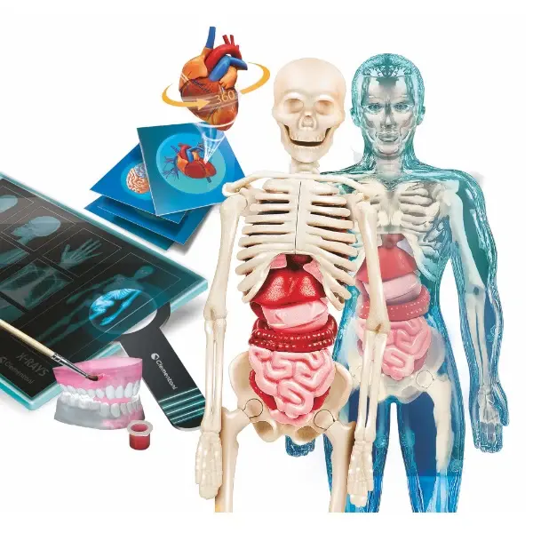 Miniatura: Super anatomía cuerpo humano