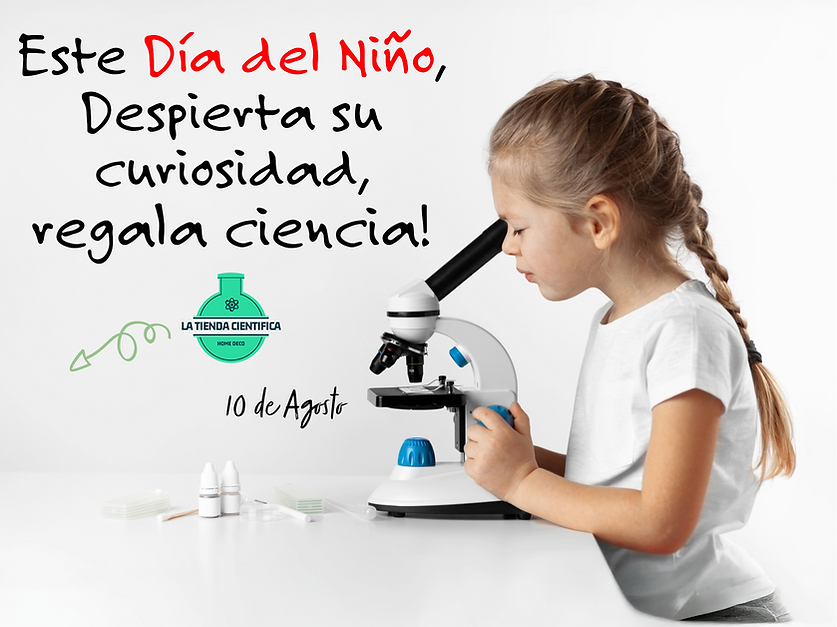 Sin título (38).png