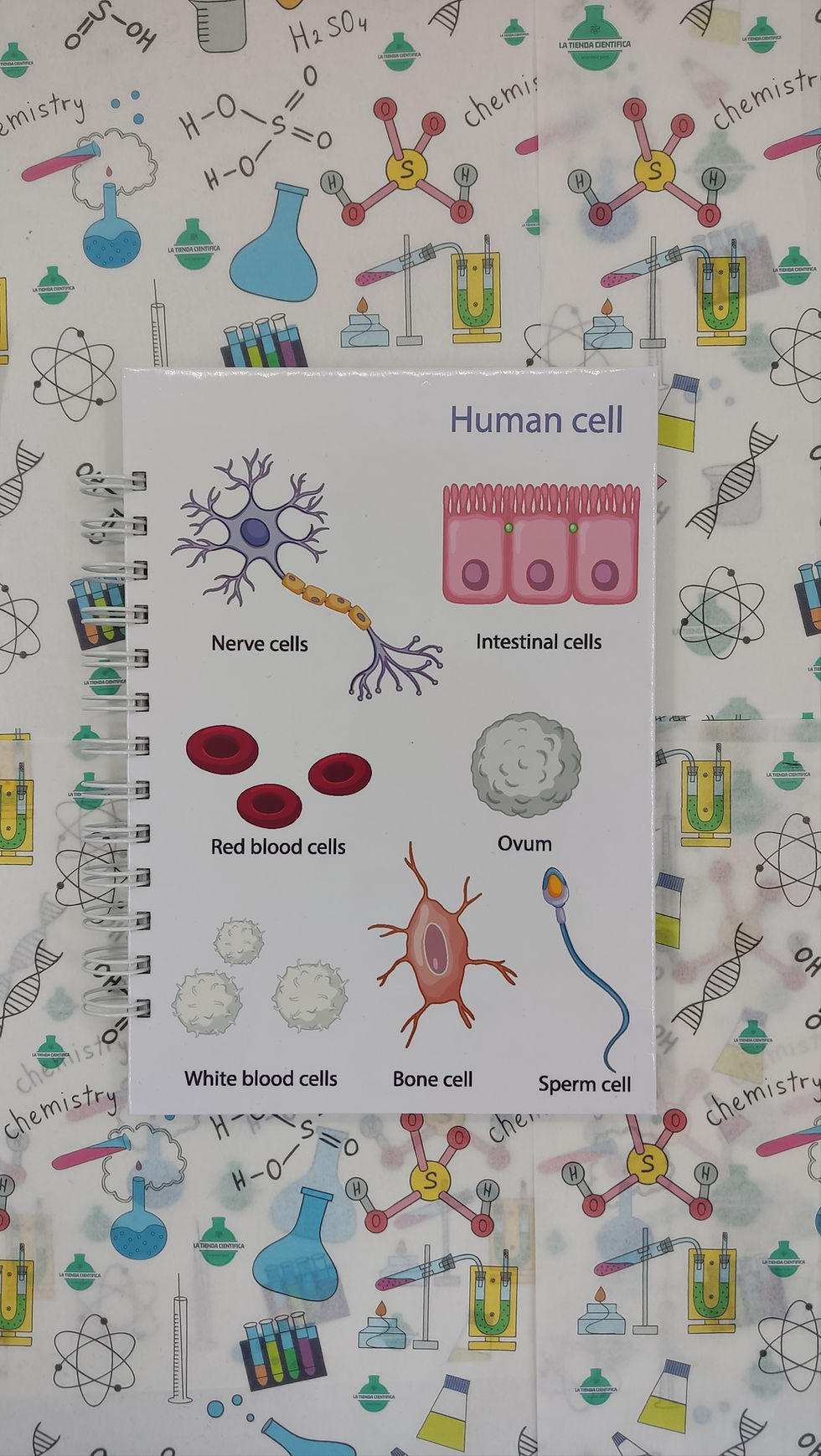 Cuaderno de Célula humana