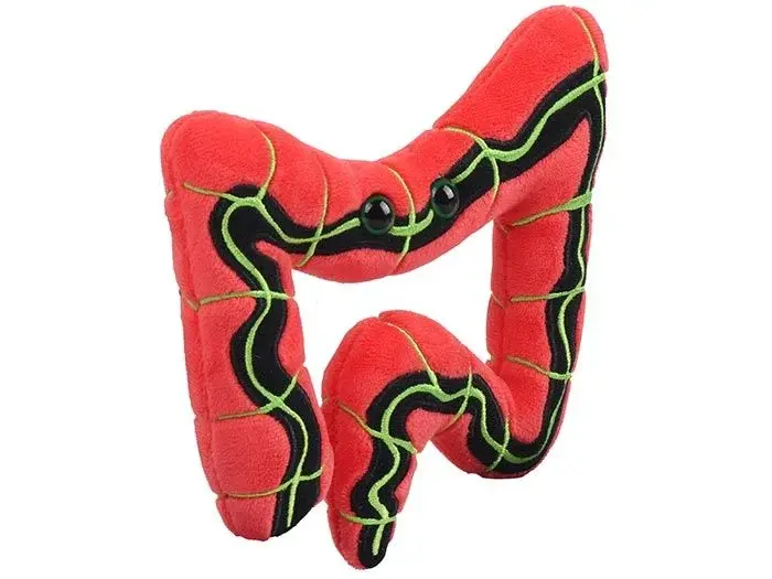 Miniatura: Intestino Irritable de GIANTmicrobes
