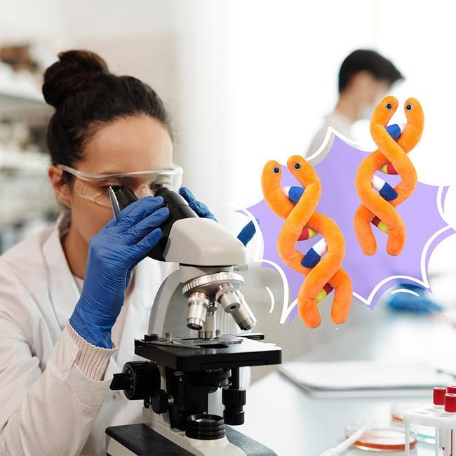 Miniatura: ADN (Ácido Desoxirribonucleico) GIANTmicrobes