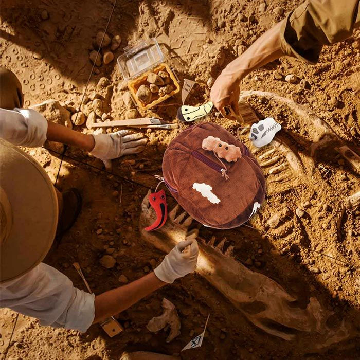 Miniatura: Excavación de Fósil T-REX GIANTmicrobes