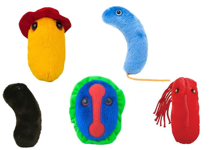 Miniatura: Plagas de la Historia GIANTmicrobes