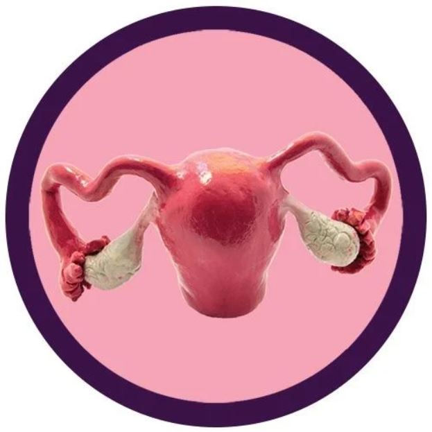 Miniatura: Utero GIANTmicrobes