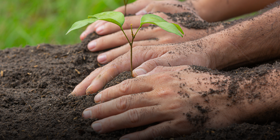 maos-fertilizante-solo.png