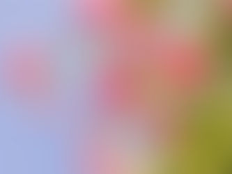 Basis of Good Health