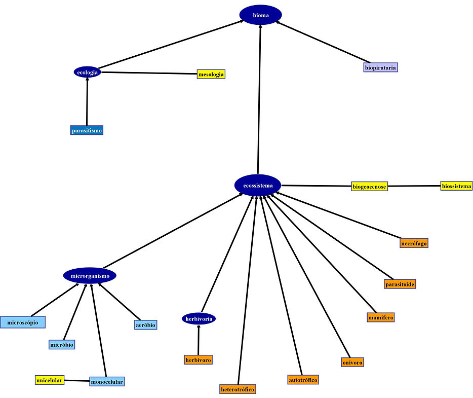 Campo lexical bioma 1.jpeg