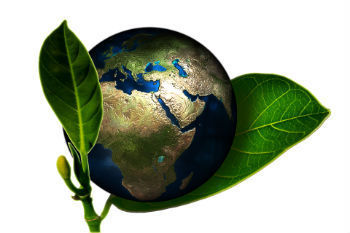 meioambiente figura central