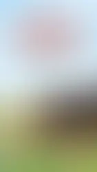 Les trois lumières, Claire Keegan