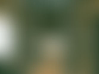 Roman de Ronce et d’Épine, Lucie Baratte