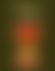 Chair, David Szalay