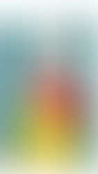 Le jour où Mr Prescott est mort, Sylvia Plath