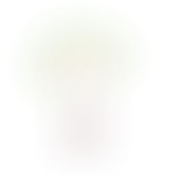 ברכת 🌴 האילנות 🌳 תשפו