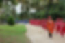 house colors.jpg