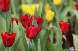 IMG_20190218_200641_154