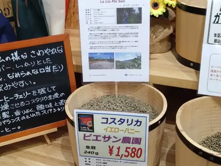 限定豆!