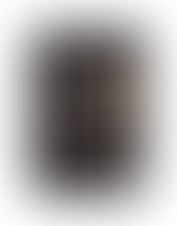 2016「きもの顔見世興行」