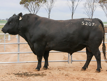 IMG_0862 (2)_edited.jpg