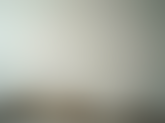 Damp Survey Importance UK: Why a Damp Survey is Necessary for Your Home