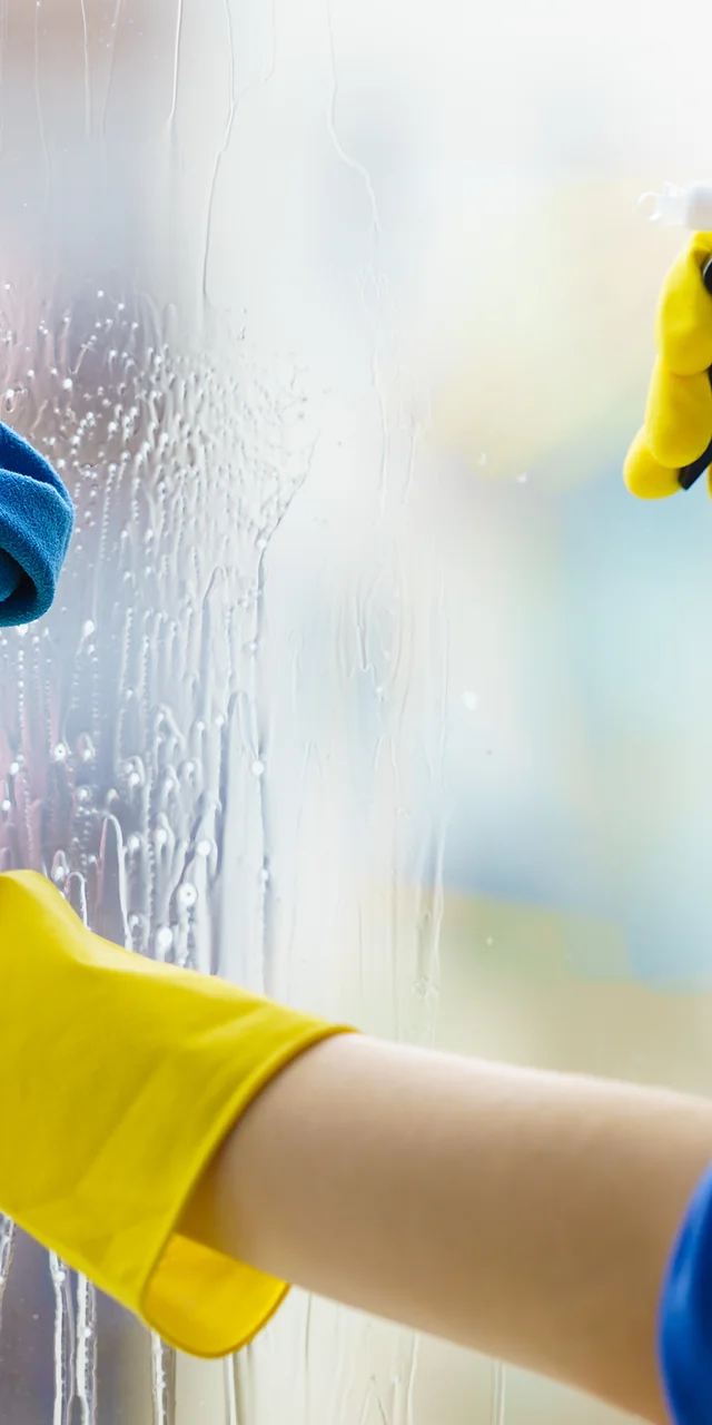 Home Royal Furniture Mattress Cleaning Services Llc
