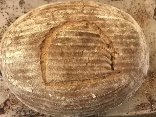 Mein Abenteuer mit dem Brot der Alten Ägypter – Von antiker Hefe, Hieroglyphen und Piastern