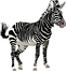 zebra-152604.png