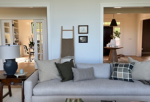photos and blanket ladder behind a living room sofa