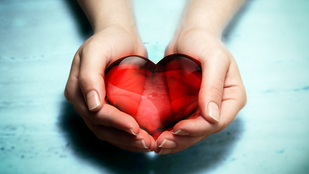 Qui se bat pour une place dans ton coeur ?