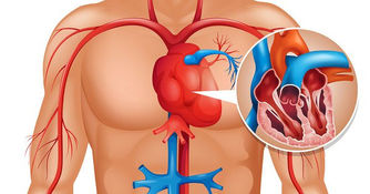 Votre corps vous prévient un mois avant d’avoir une crise cardiaque – Voilà le secret caché que tout