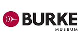 Burke Museum.png