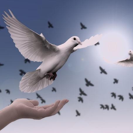 Sens caché des mots en langage des oiseaux