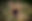 303905121_486599560136243_1852180849673729416_n.jpg