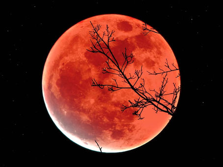 Navigating change, shifting tides, & embracing the intensity of the Full Moon in Taurus and Eclipse