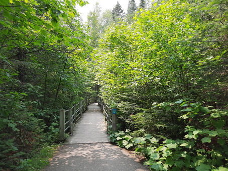 2021 07 11 - Grand Portage - State Park