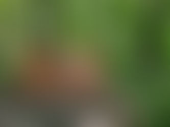 2020 09 18 - State Park, Myre-Big Island