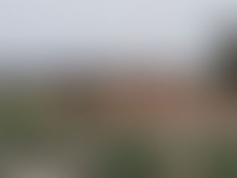 2023 04 26 - Dinosaur Caves Park - Pismo Beach CA