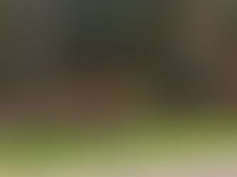 2023 10 29 - Moose Lake State Park - Moose Lake MN