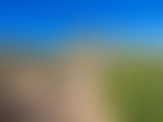 2025 11 03 - National Park, Saguaro West, Tucson AZ