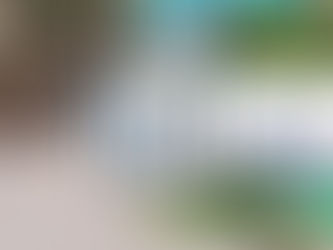 2022 07 19 - Duluth Canal Lake Walk - Duluth MN