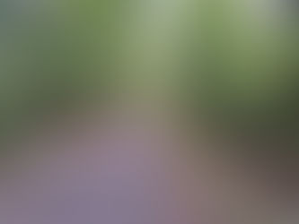 2023 10 05 - Omaha Bike Trail - Camp Douglas WI