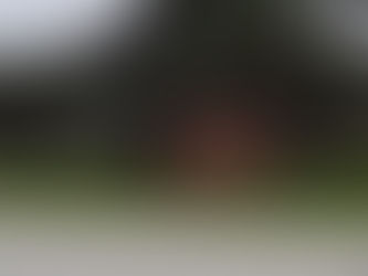 2022 01 22 - Big Cypress Bend Boardwalk - Carnestown FL