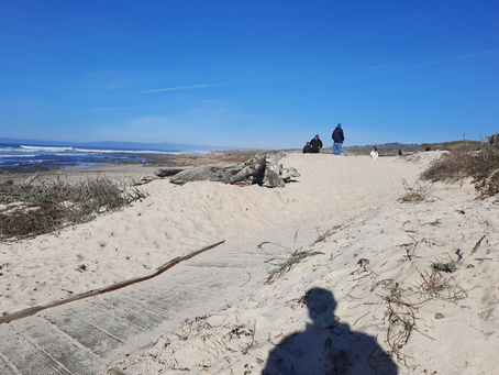 2021 01 09 - Moss Beach, Del Monte Forest CA