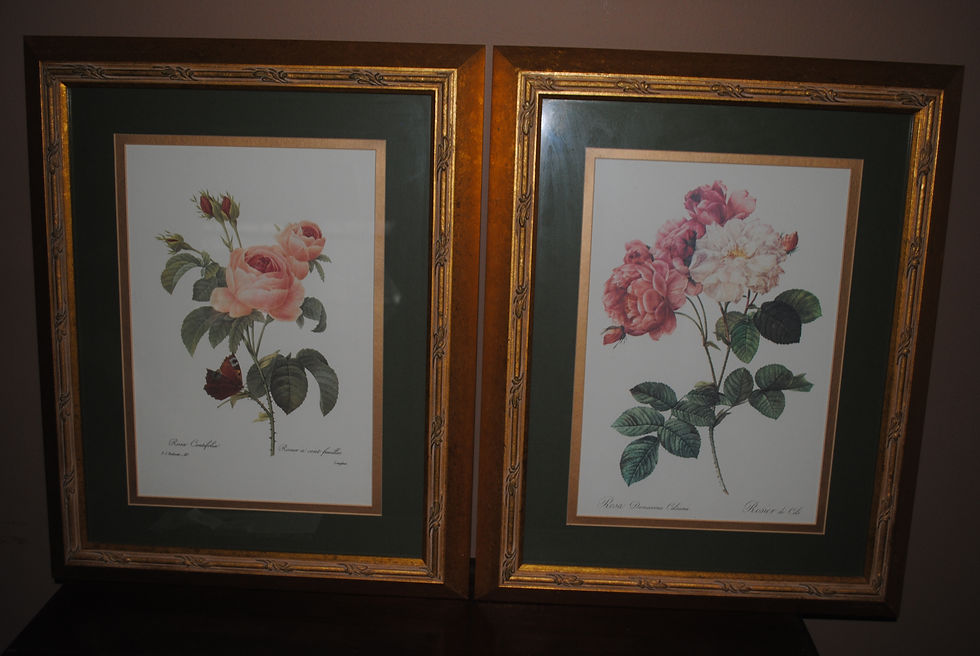 23: Floral Prints (Framed)