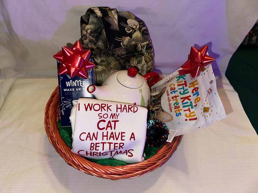 09: Kitty Christmas Basket