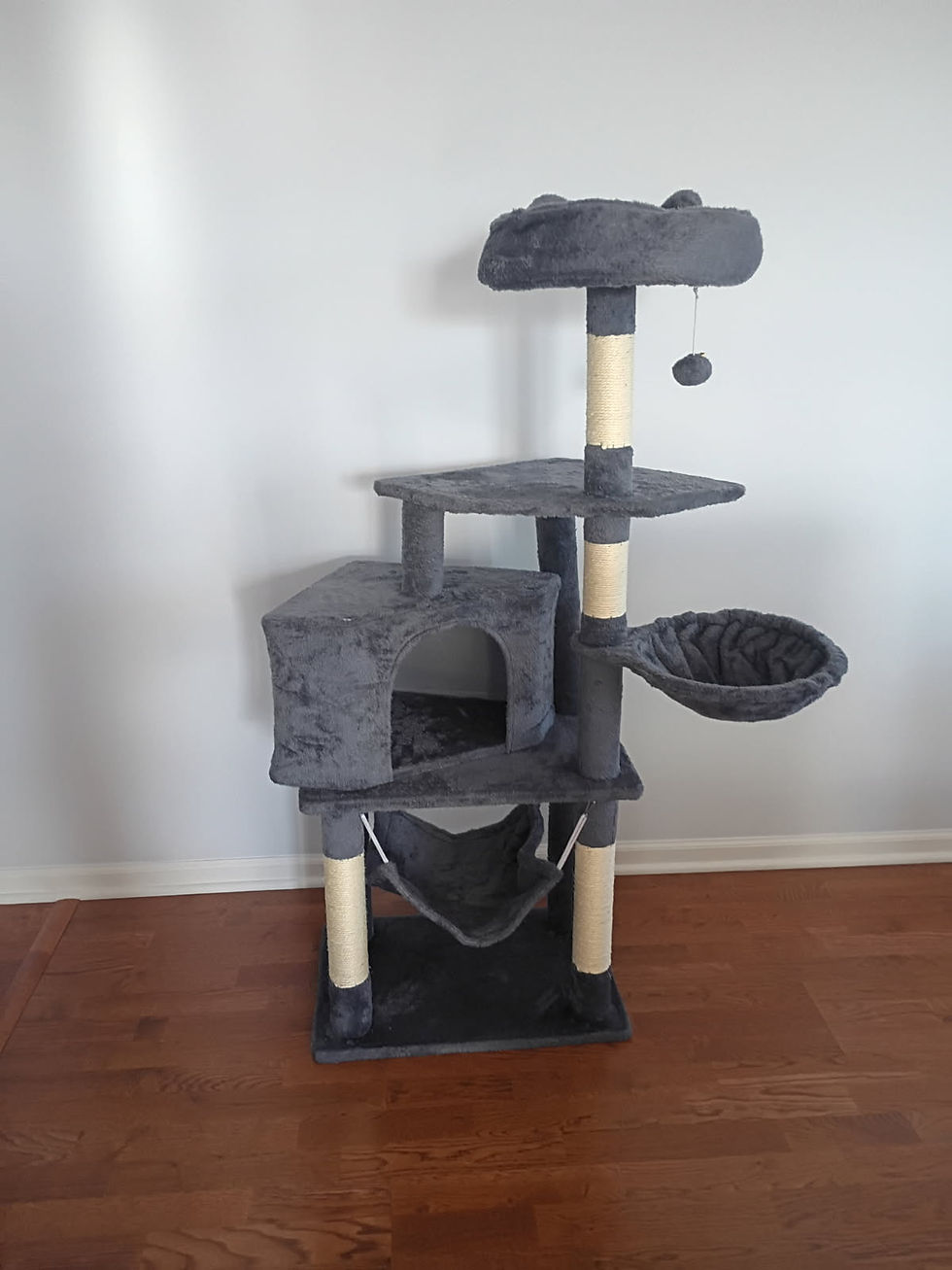 G1: Multi-level cat tree with hammock 54 inches_dark grey